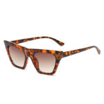 Women's Cat Eye Personality Big Frame Glasses Frame - Image 5