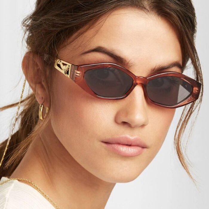 SO&EI Retro Small Frame Polygon Cat Eyes Women Sunglasses Brand Designer Fashion Cheetah Decoration Ladies Sun Glasses UV400 - Image 1