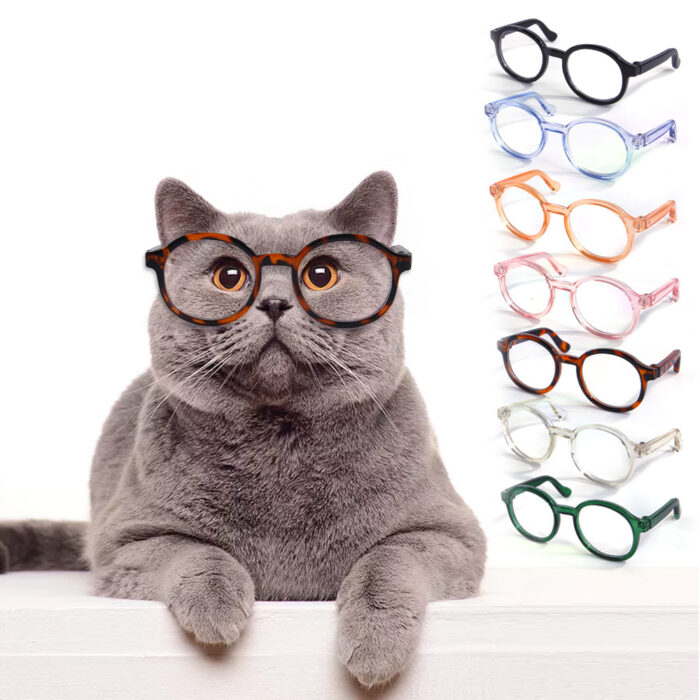 Plastic Transparent Cat Glasses - Image 1